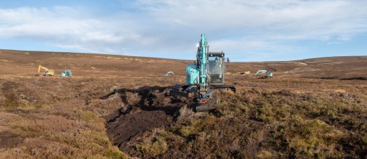 Peatland Restoration