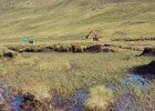 Peatland Restoration – Achnacarry Phase 3