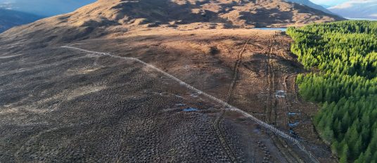 Forest Regeneration in Glen Mallie